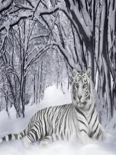 Other Wallpapers 0926
